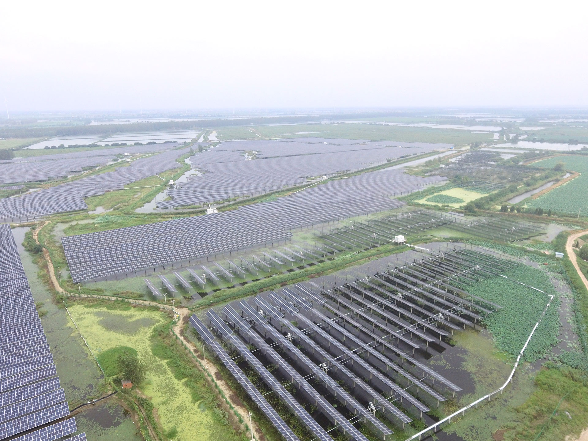 leyu.乐鱼科技江苏扬州宝应光伏发电应用领跑基地2号100兆瓦项目